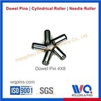 Yüksek Hassasiyetli Dübel Pimleri