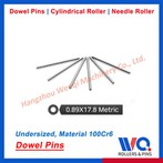 Paslanmaz Çelik Yerleştirme Pimleri